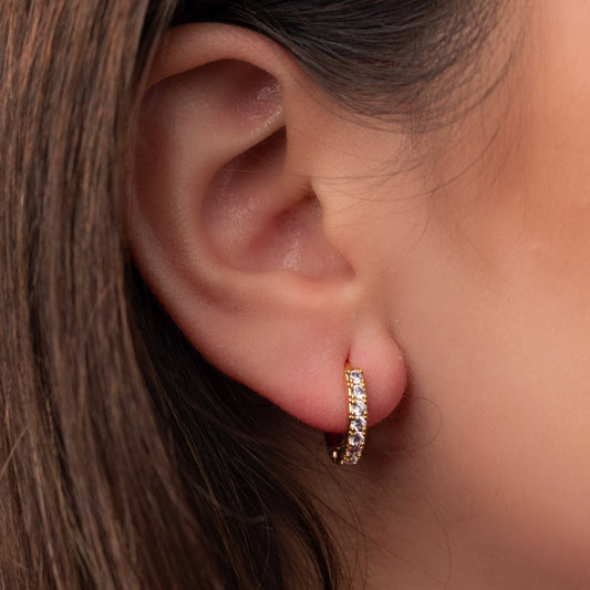 North Huggie Earrings